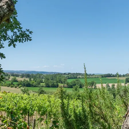 Sangiovese Con Ampio Giardino