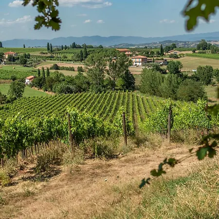 Sangiovese Con Ampio Giardino Lodge *