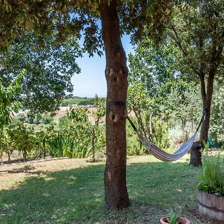 Sangiovese Con Ampio Giardino Деревянный коттедж Аббадия-ди-Монтепульчано